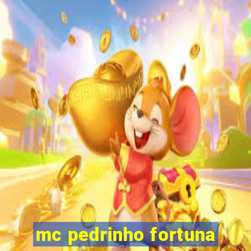 mc pedrinho fortuna